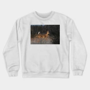 Flight of Fancy - White-tailed Deer Crewneck Sweatshirt